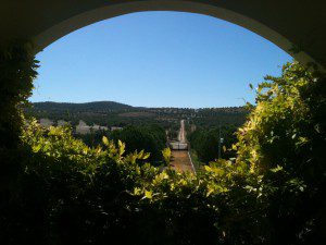 Casa Del Valle View