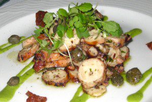 grilled octopus