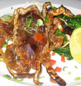 soft shell crab