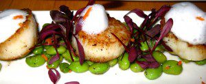 Scallops on BIteoftheBest.com