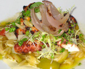 Octopus