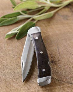 Wusthof Folding Gentleman's Knife