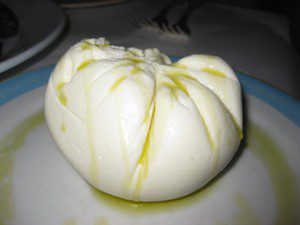 burrata