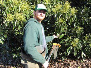 Farmer Ben of California Avocados Direct